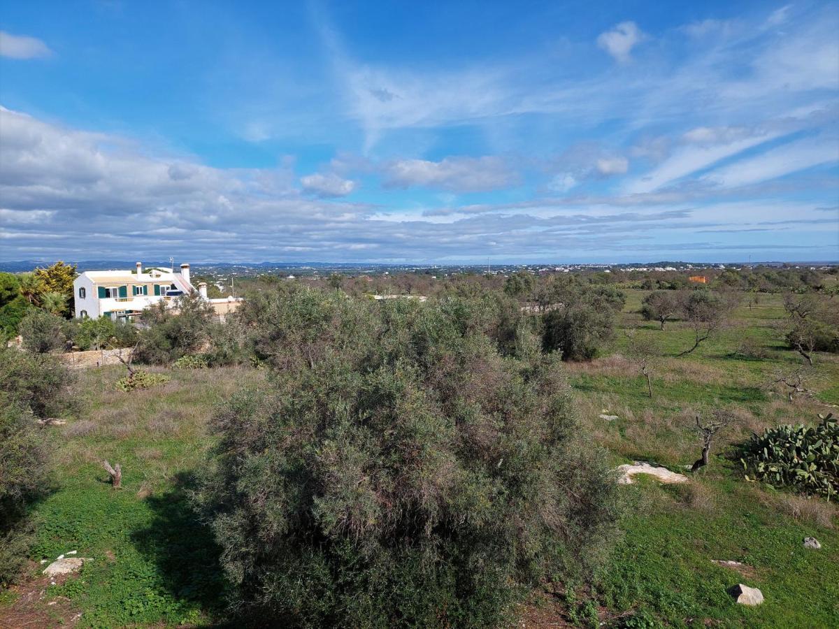 Villa Margot: Grande Moradia Com Piscina Olhao